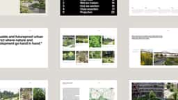 Brand Identity and Website Redesign for a Landscape Architecture Studio - thumbnail 8