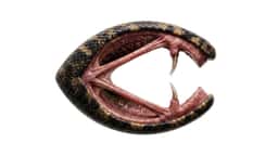 Visual Identity for Camperlab Fashion House - thumbnail 3