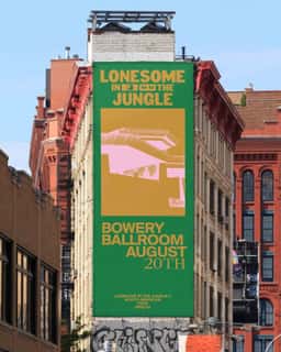 Brand Identity for Lonesome in the Jungle - thumbnail 7