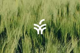 Brand Identity and Digital Platform for Agricultural Lender - thumbnail 4