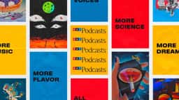 Brand Identity and Launch Campaign for NPR Podcasts - thumbnail 3