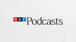 Brand Identity and Launch Campaign for NPR Podcasts - thumbnail 6