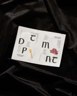 Brand Identity for DPTMNT Skincare - thumbnail 9