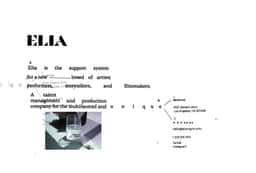 Brand Identity for an Artist Talent Management Company - thumbnail 8