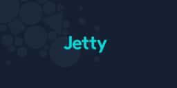Brand Identity for Jetty Renters Insurance - thumbnail 2