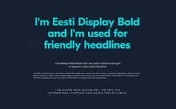 Brand Identity for Jetty Renters Insurance - thumbnail 9