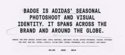Global Sports Campaign for Adidas Badge 2022 - thumbnail 3