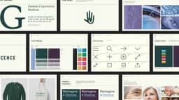 Brand Identity and Packaging for Juvenescence - thumbnail 7