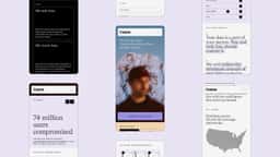 Brand Identity for a Privacy-First Mobile Carrier - thumbnail 9