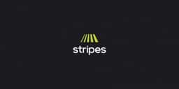 Brand Identity for Growth Equity Firm Stripes - thumbnail 2