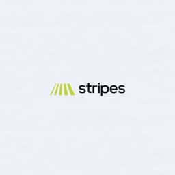 Brand Identity for Growth Equity Firm Stripes - thumbnail 4