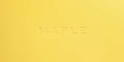 Brand Identity for Maple Food Delivery - thumbnail 2