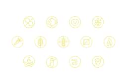 Brand Identity for Maple Food Delivery - thumbnail 7