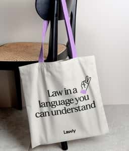 Visual Identity and Website Design for Lawly - thumbnail 3