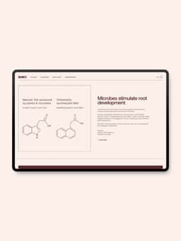 Brand Identity and E-Commerce Website for IMIO - thumbnail 9