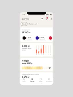 App and Design System for Anyfin - thumbnail 6