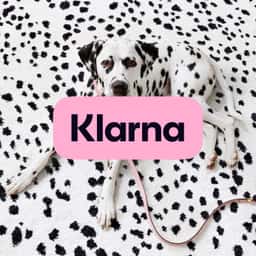 Brand Refresh for Klarna - thumbnail 2