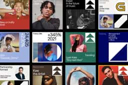 Brand Identity and Web Design for a Music Industry Pioneer - thumbnail 8