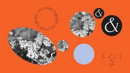 Packaging and Brand Identity for Sky Moon and Me - thumbnail 5