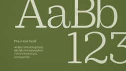 Brand Identity for Store 260 Boutique - thumbnail 4