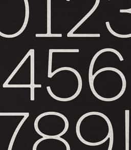 Brand Identity for Store 260 Boutique - thumbnail 5