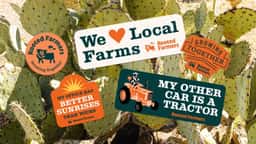 Brand Identity for Rooted Farmers - thumbnail 7