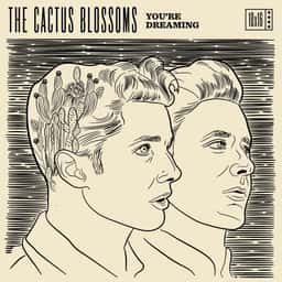 Album Cover Redesigns for Top 10 Records of 2016 - thumbnail 9