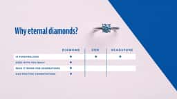 Brand Identity for a Memorial Diamond Company - thumbnail 5