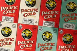 Brand Identity for Pacific Gold - thumbnail 7