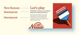 Brand Identity for Nettie Pickleball - thumbnail 4