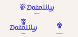 Rebrand for Research-Driven Content Marketing Studio Datalily - thumbnail 3