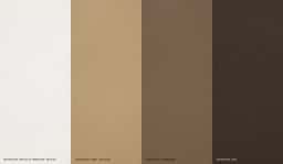 Brand Identity and Website for Nóbrega Borghmans - thumbnail 4