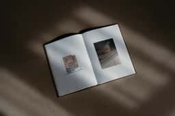 Brand Identity and Website for Nóbrega Borghmans - thumbnail 7
