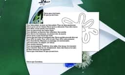 Copywriting, design and signage for a flower business  - thumbnail 4