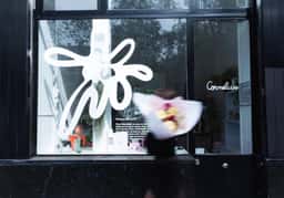 Copywriting, design and signage for a flower business  - thumbnail 7