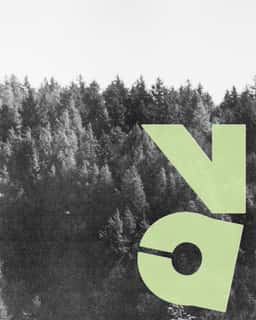Brand Identity for a Rural Real Estate Developer - thumbnail 2