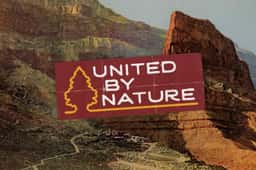 Brand Identity and Website for United by Nature - thumbnail 2
