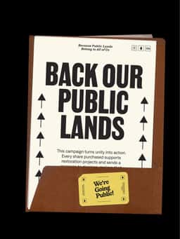 Branding and Website for We're Going Public - thumbnail 5