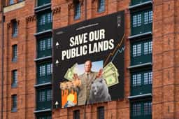Branding and Website for We're Going Public - thumbnail 7