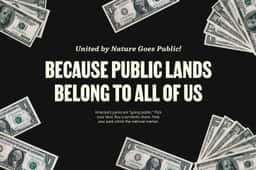 Branding and Website for We're Going Public - thumbnail 8