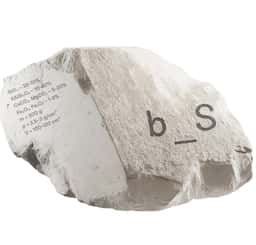 Brand Identity for Be-Sirius AI Sustainability Platform - thumbnail 4