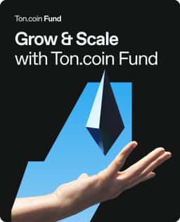 Website Design for TONcoin.fund - thumbnail 8