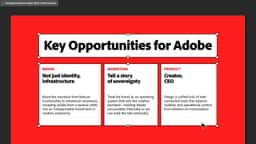 Ethnographic Strategy for Adobe’s Entrepreneurial Creators - thumbnail 7