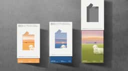 Brand Identity for Nature Boundary - thumbnail 6
