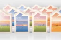 Brand Identity for Nature Boundary - thumbnail 7