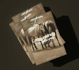 Brand Identity for a Documentary Editorial Platform - thumbnail 4