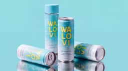 Global Brand Identity for Wanglaoji Herbal Tea - thumbnail 2