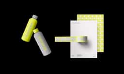 Brand Identity for Collaborative Payroll Platform - thumbnail 5