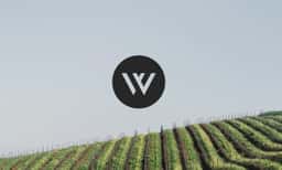 Brand Identity for Weinfreunde Wine Marketplace - thumbnail 2