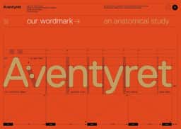Brand Identity for Äventyret - thumbnail 2